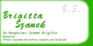 brigitta szamek business card